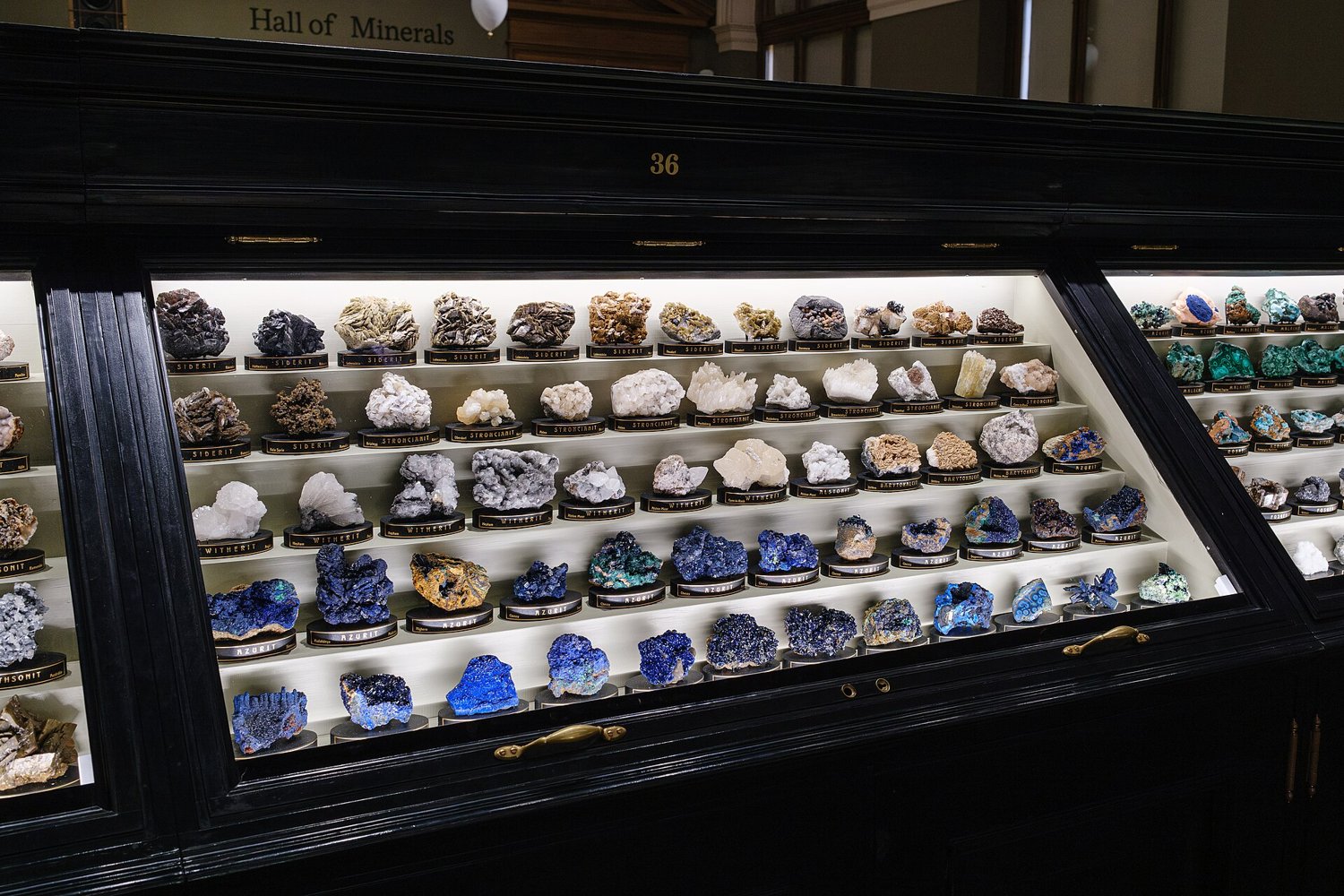 Display cases in the National Museum, Prague