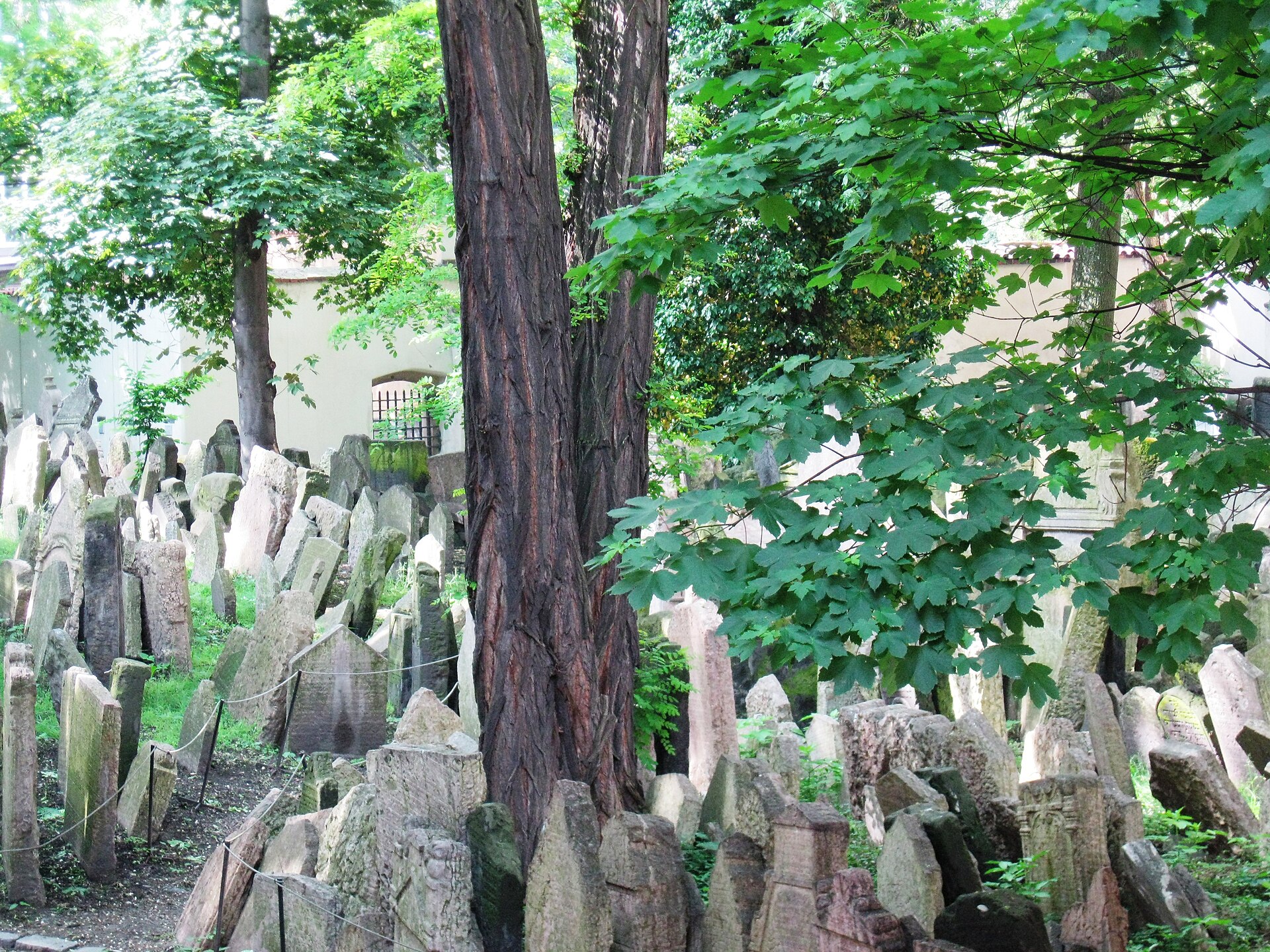 The Old Jewish Cemetery under trees