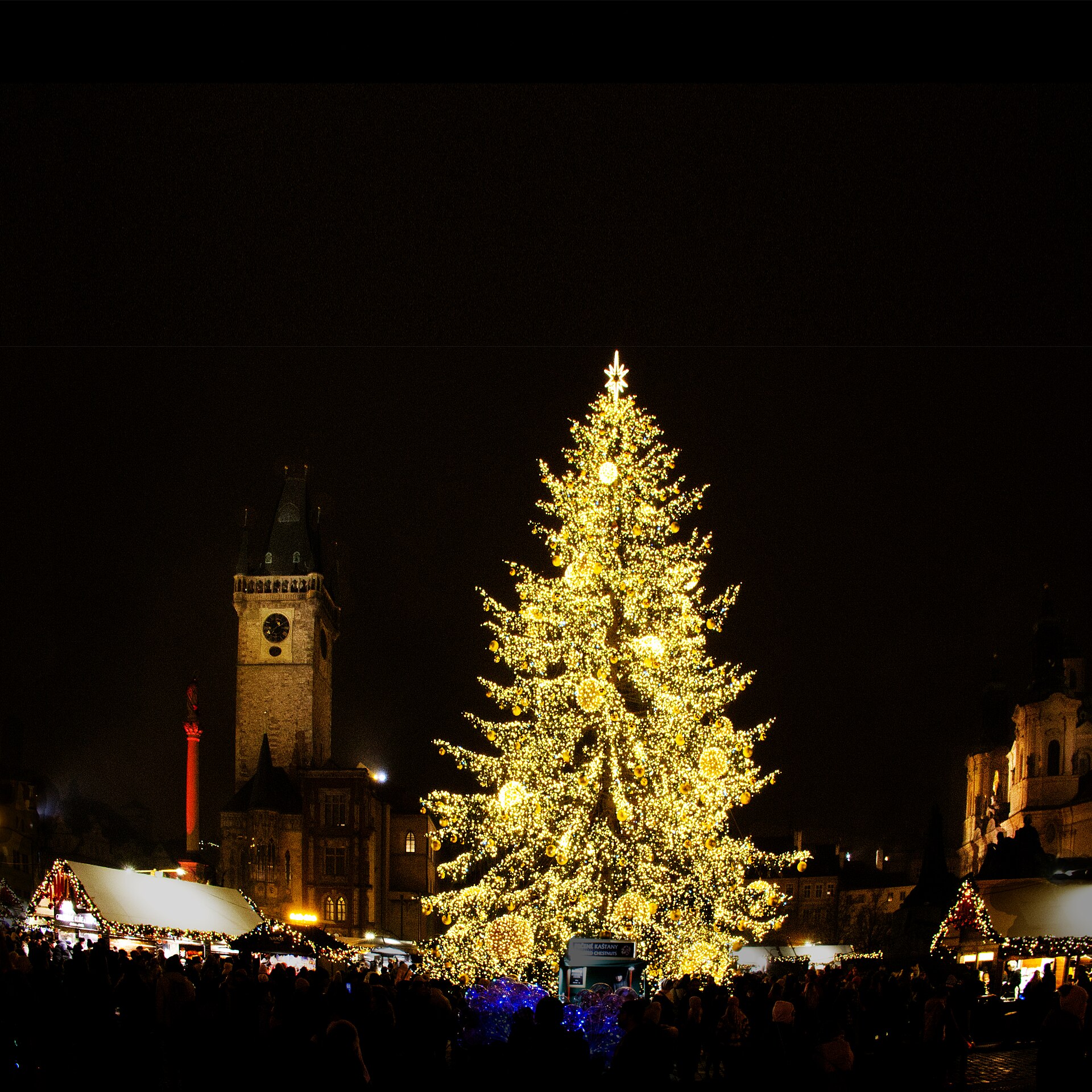 The Christmas tree on Prague's Old Town Square